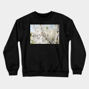 White cherry flowers Crewneck Sweatshirt